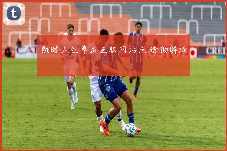 凯时人生尊龙互联网站点 透彻解读