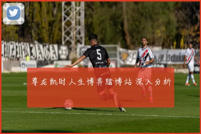 尊龙凯时人生博弈赌博站 深入分析