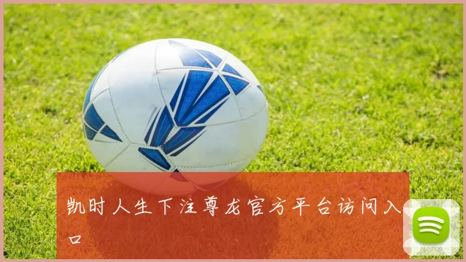 凯时人生下注尊龙官方平台访问入口