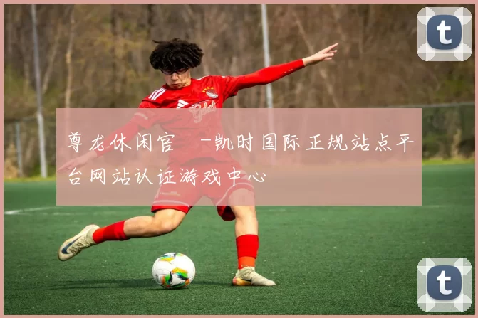 尊龙休闲官網-凯时国际正规站点平台网站认证游戏中心