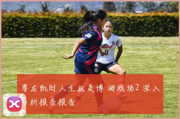 尊龙凯时人生就是博 游戏场2 深入分析报告报告