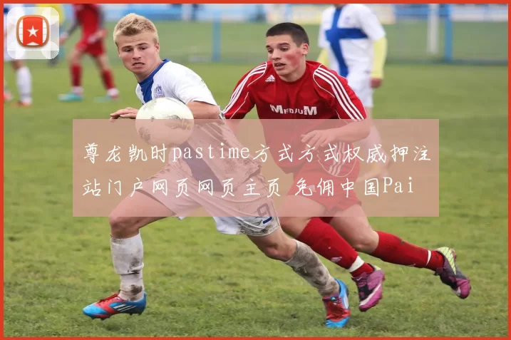 尊龙凯时pastime方式方式权威押注站门户网页网页主页 免佣中国Pai Gow免佣庄闲和2 深度解析