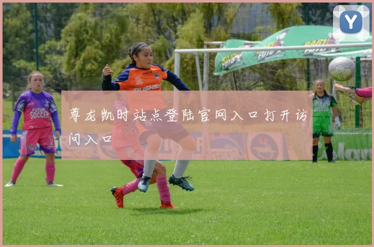 尊龙凯时站点登陆官网入口打开访问入口