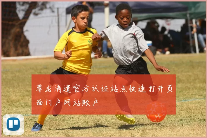 尊龙消遣官方认证站点快速打开页面门户网站账户