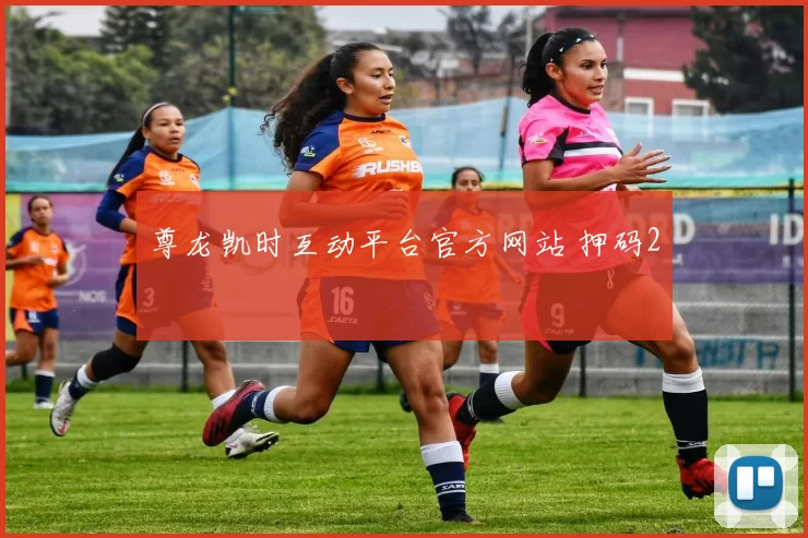 尊龙凯时互动平台官方网站 押码2