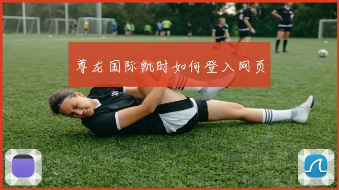 尊龙国际凯时如何登入网页