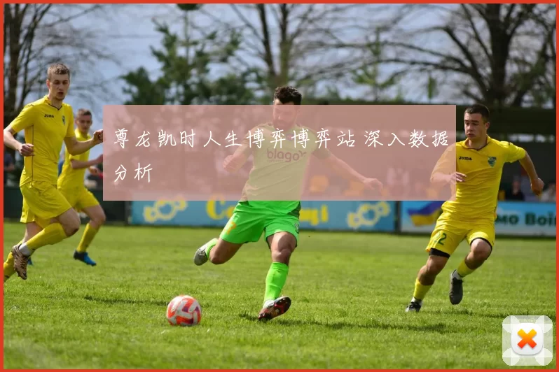 尊龙凯时人生博弈博弈站 深入数据分析