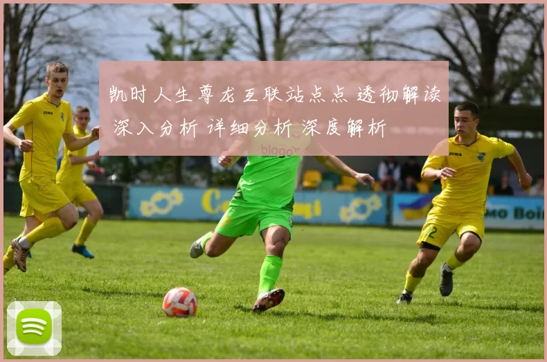 凯时人生尊龙互联站点点 透彻解读 深入分析 详细分析 深度解析