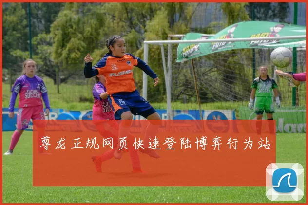 尊龙正规网页快速登陆博弈行为站