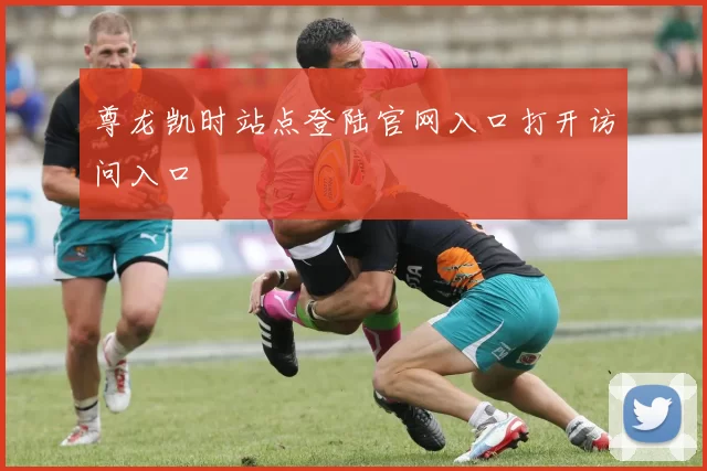 尊龙凯时站点登陆官网入口打开访问入口