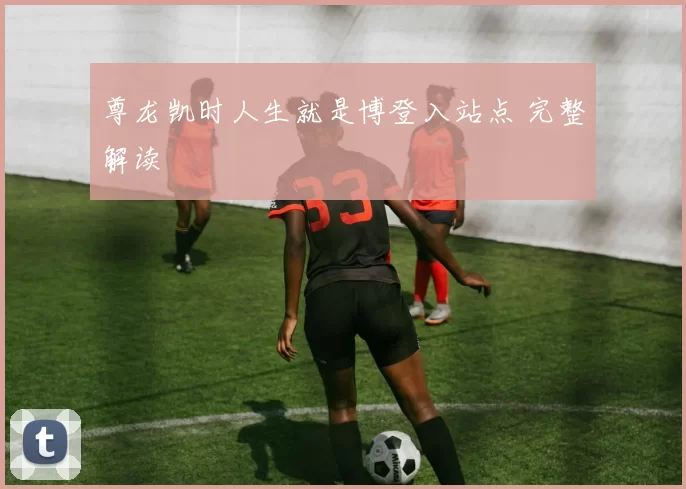 尊龙凯时人生就是博登入站点 完整解读