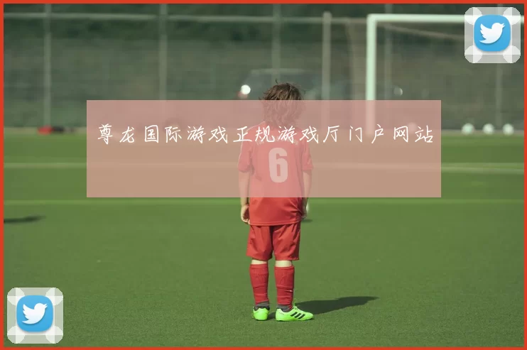 尊龙国际游戏正规游戏厅门户网站