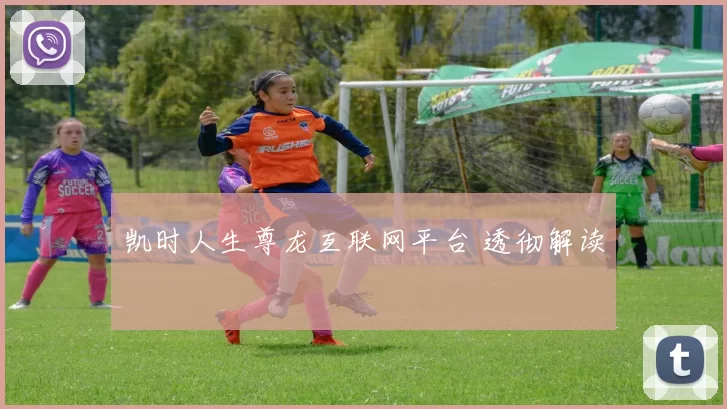 凯时人生尊龙互联网平台 透彻解读