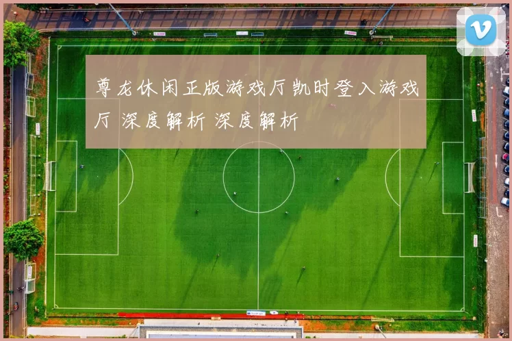 尊龙休闲正版游戏厅凯时登入游戏厅 深度解析 深度解析