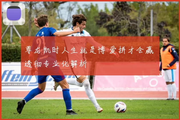 尊龙凯时人生就是博 爱拼才会赢 透彻专业化解析