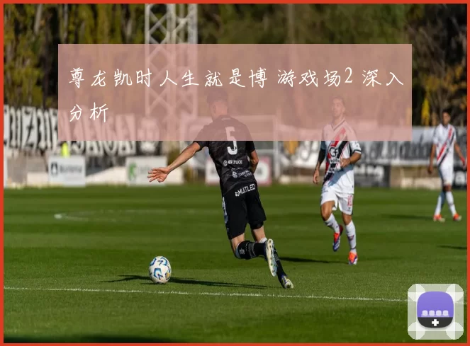 尊龙凯时人生就是博 游戏场2 深入分析