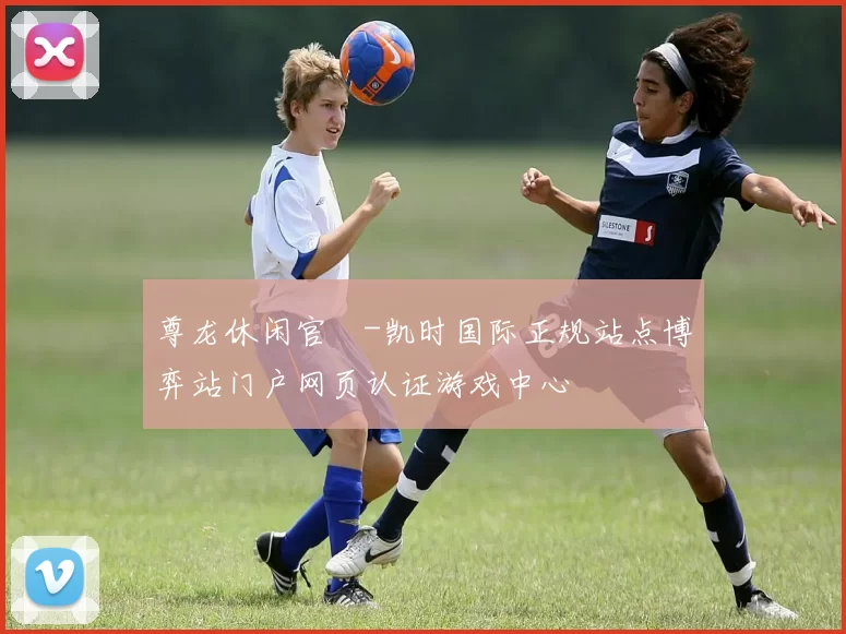 尊龙休闲官網-凯时国际正规站点博弈站门户网页认证游戏中心